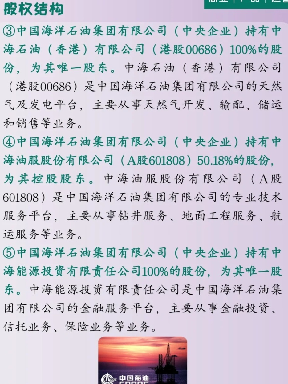 中海油裁员最新消息，深度分析与展望