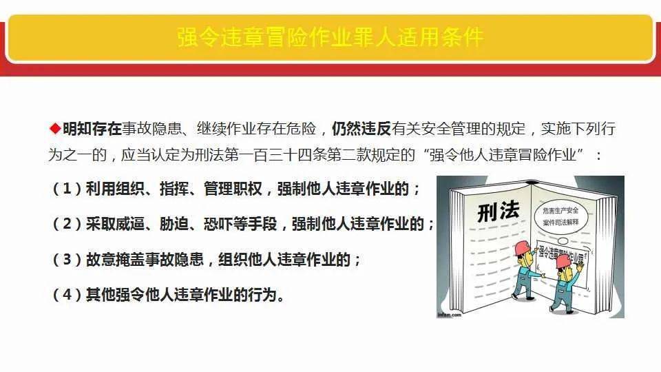 新奥门全年免费资料;精选解释解析落实